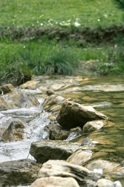 Arroyo de montaña con costas verdes