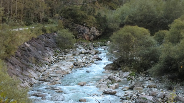 Foto arroyo de montaña en los dolomitas con agua corriente