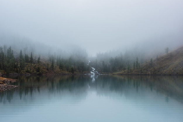 Foto el arroyo de la montaña fluye desde las colinas del bosque hacia el lago glacial en la niebla misteriosa pequeño río y árboles de coníferas reflejados en el tranquilo lago alpino en la mañana brumosa paisaje tranquilo en los colores de otoño que se desvanecen