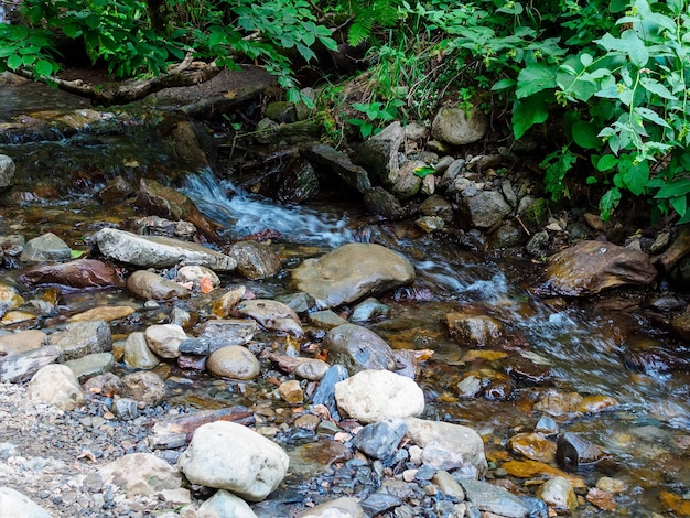 Arroyo de montaña en el parque de las cascadas de Mendelikh Sochi