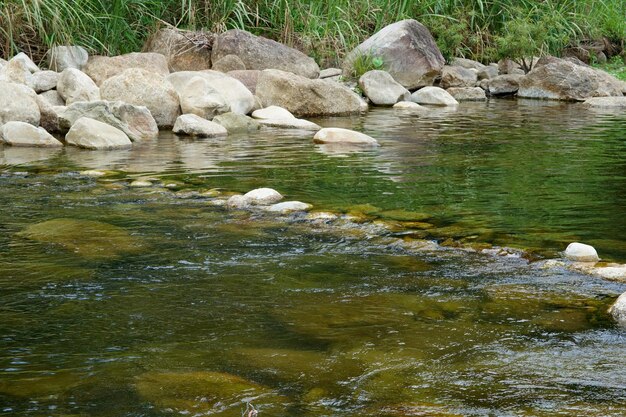 Arroyo de montaña en la temporada de verano.