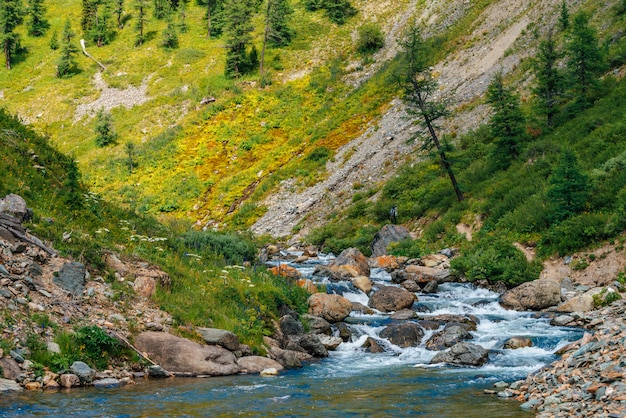 Arroyo de montaña en el valle verde en un día soleado