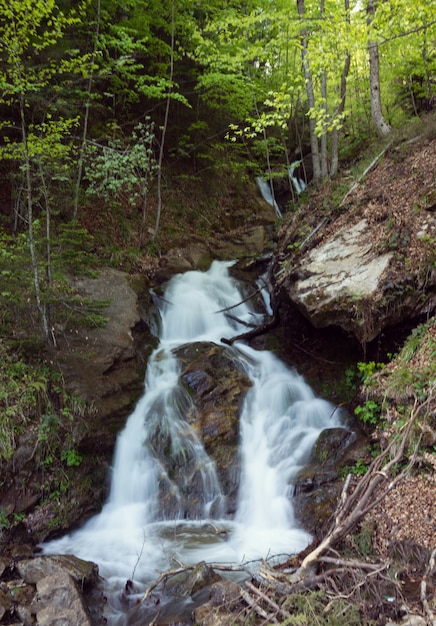 Arroyo de montaña