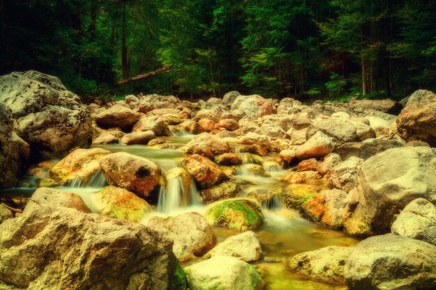 Foto arroyo en las montañas en el parque nacional hohe tauern en austria.