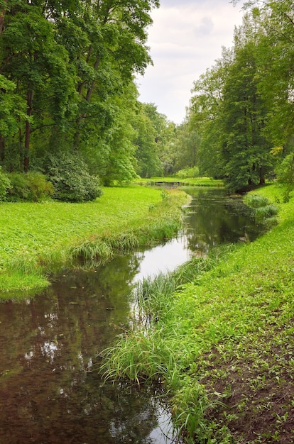 Un arroyo en un parque de verano. Pintorescos bancos verdes cubiertos de césped y árboles