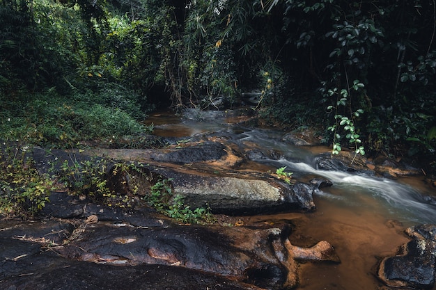 Arroyo de piedra y río después de la lluvia en el bosque tropical