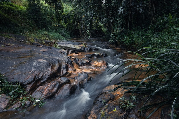 Arroyo de piedra y río después de la lluvia en el bosque tropical