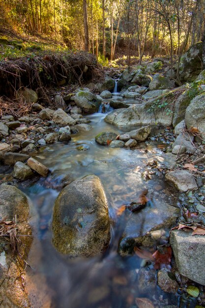 Arroyo que fluye fresco