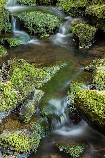 Arroyo que fluye y piedras cubiertas de musgo