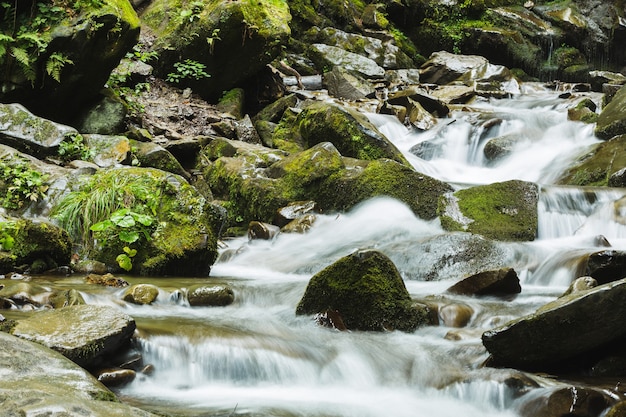 Arroyo rápido en el bosque que fluye entre piedras