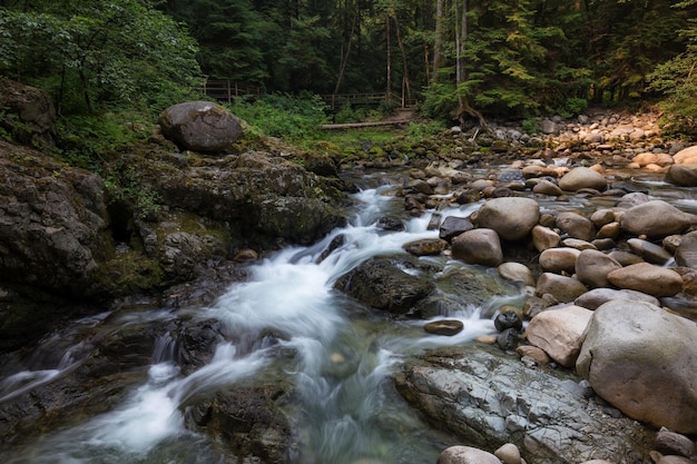 Arroyo del río en el cañón natural durante el verano Fondo de la naturaleza canadiense