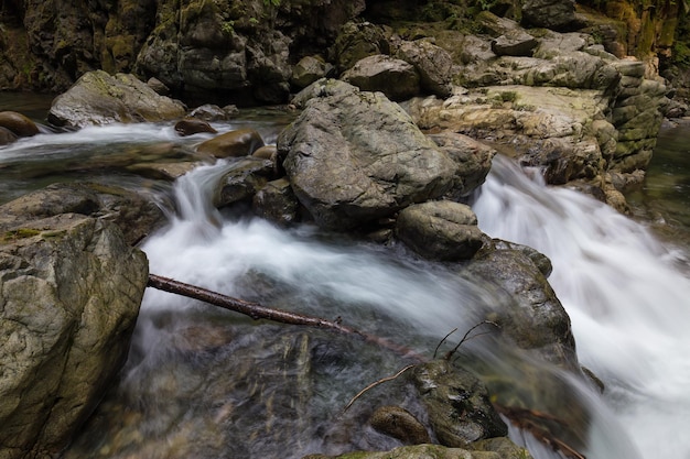 Arroyo del río en el cañón natural durante el verano Fondo de la naturaleza canadiense