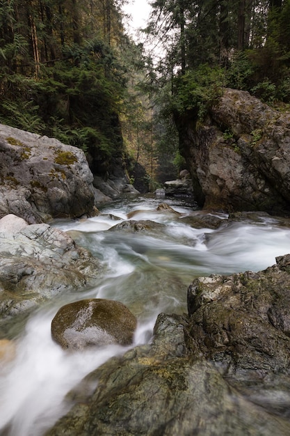 Arroyo del río en el cañón natural durante el verano Fondo de la naturaleza canadiense