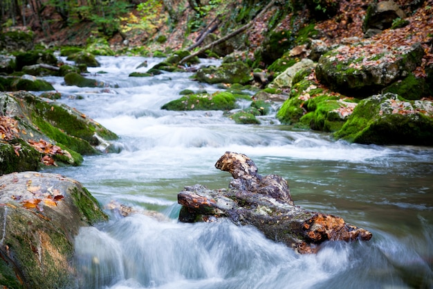 Arroyo del río frío de montaña bajando rodeado de hierba verde y rocas en la costa