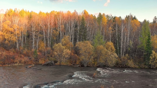 Arroyo de río de montaña y bosque de otoño. Hermoso paisaje de otoño al atardecer.