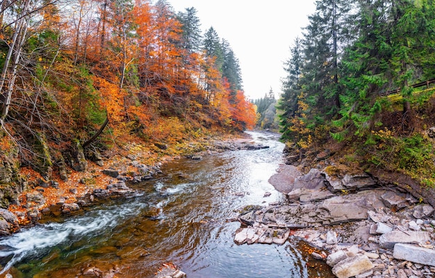 Arroyo del río que pasa por el pie de la montaña con bosque de otoño