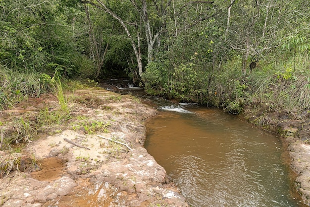 Arroyo con rocas en la naturaleza