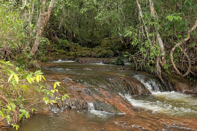 Arroyo con rocas en la naturaleza