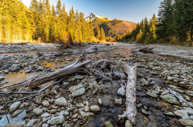 Arroyo rocoso y pico Krivan en el fondo Altos Tatras Eslovaquia