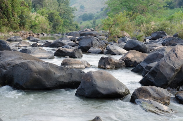 Arroyo en la selva, Tailandia