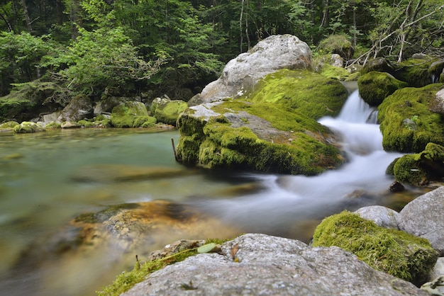 Arroyo en Valle Pesio