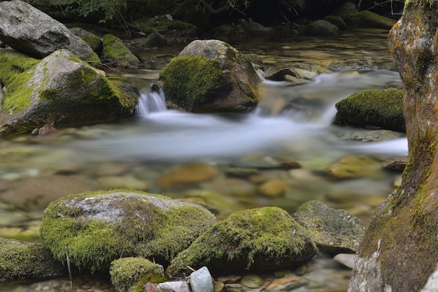 Arroyo en Valle Pesio