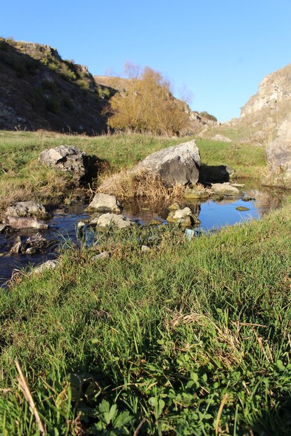 Foto un arroyo en una zona de hierba