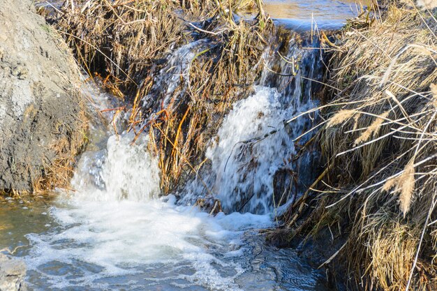 Los arroyos de primavera tan esperados fluyen sobre barrancos y colinas en un día soleado. Rápidos de agua y cascadas de arroyos entre la hierba seca. Hermoso paisaje primaveral.