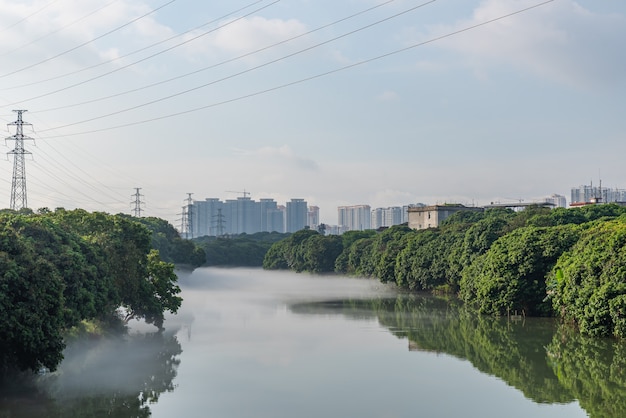 Los arroyos reflejan la ciudad y el bosque en la niebla de la mañana.