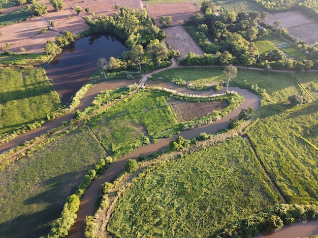 Los arroyos serpentean en las áreas agrícolas durante la temporada de lluvias con abundante agua. Verde y cálido bajo el sol de la mañana.