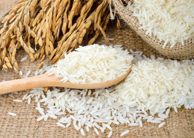 Arroz blanco (arroz jazmín tailandés) y arroz sin moler