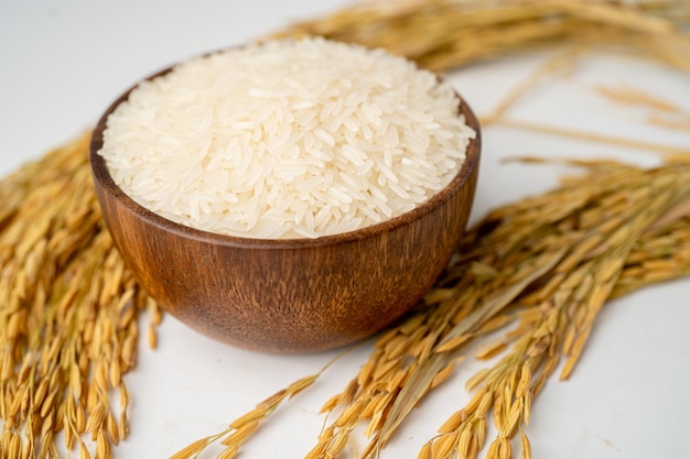 Arroz blanco jazmín con grano dorado de una granja agrícola