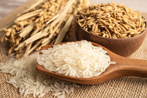 Arroz blanco jazmín en tazón de madera con grano de oro de la granja agrícola