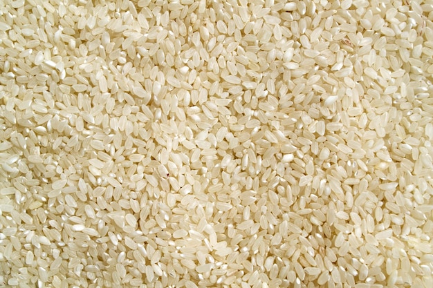 Foto arroz blanco de textura de fondo