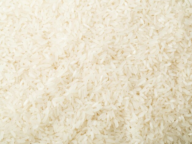 Arroz branco cru