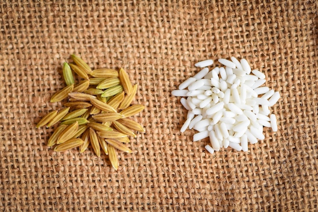 Foto arroz branco de jasmim e arroz em casca amarelo em saco colhido arroz rasgado, arroz de colheita e conceito de cozimento de grãos alimentícios