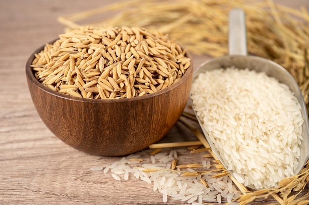 Arroz branco de jasmim em tigela de madeira com grão de ouro da fazenda agrícola.