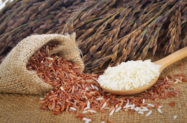 Arroz branco e arroz vermelho (arroz de jasmim tailandês) e arroz não moído