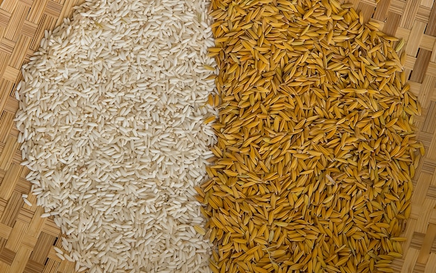 Foto arroz branqueado e arroz não moído