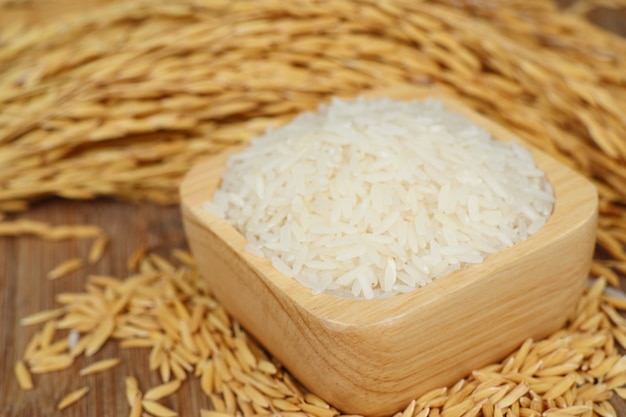 Foto arroz com casca e branco