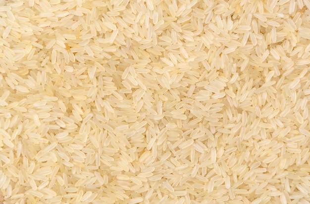 Arroz cru como pano de fundo