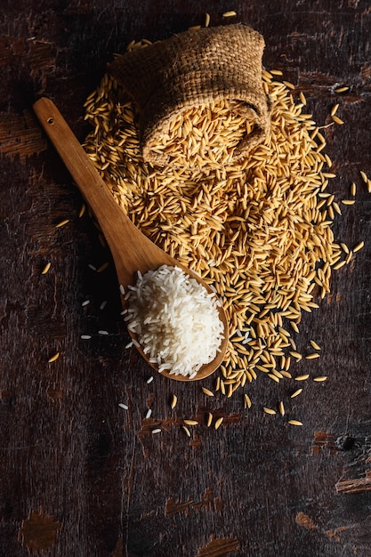 Arroz crudo al vapor y arroz con cáscara sobre fondo de madera