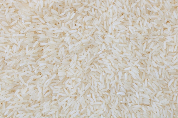 Foto arroz de jasmim. fundo de comida.