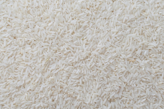 arroz de jasmim