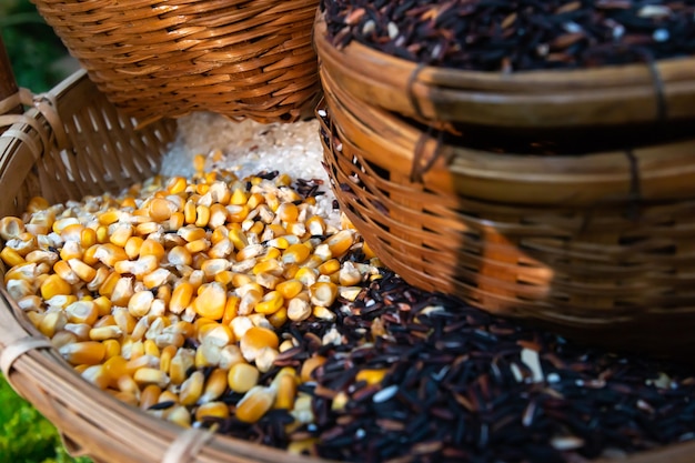 Arroz de semente de baga ee sementes de milho na cesta de bambu