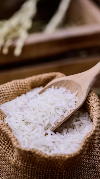 Arroz geral orgánico. Cuerno de la abundancia de la cosecha de otoño en la temporada de otoño.