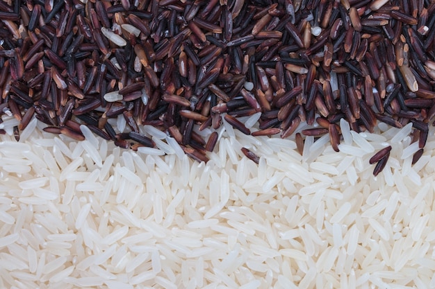 Foto arroz integral (riceberry) e arroz branco (arroz de jasmim).