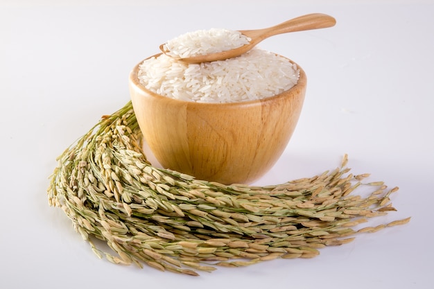 Arroz de jazmín en una fila aislada en un fondo blanco