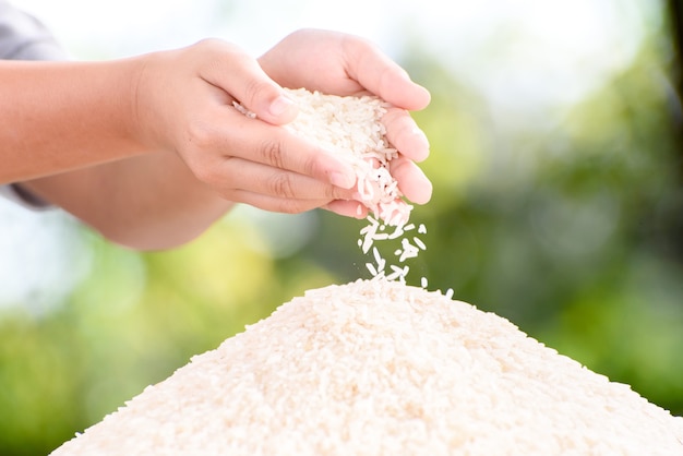 Arroz con jazmín en mano de niño