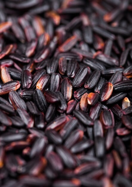 Arroz negro crudo orgánico fresco de Venus.